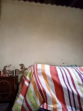 average price online show from November 2025 04:16:01 AM