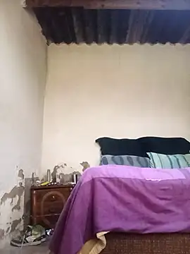 average price online show from January 2026 04:27:02 AM