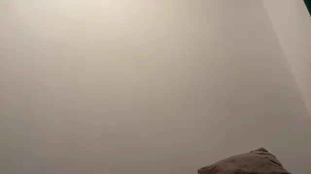 twinkydave online show from March 2026 11:33:02 PM