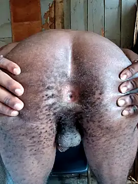 Snapshot of SeductiveDick1997 chatting on March 2026 06:48:02 AM SeductiveDick1997 online show from March 2026 06:48:02 AM