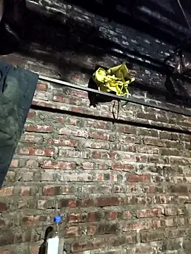 siki-00 online show from December 2025 11:47:01 AM