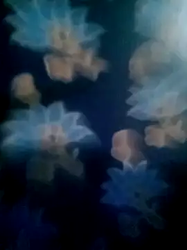 Snapshot of your_favourite_bhabhi chatting on November 2025 01:49:02 PM your favourite bhabhi online show from November 2025 01:49:02 PM