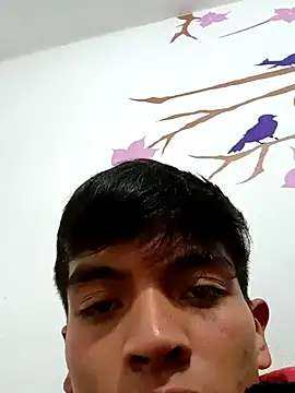 DavidVergagigante420 online show from November 2025 02:59:02 AM