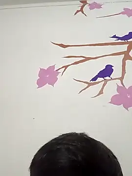 DavidVergagigante420 online show from February 2026 04:10:02 AM