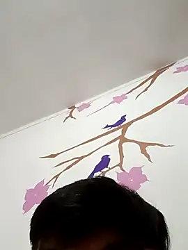 DavidVergagigante420 online show from February 2026 07:08:02 AM