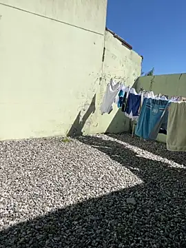 cat9269 online show from November 2025 06:03:01 PM