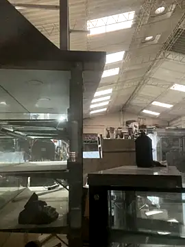 True Di online show from December 2025 11:16:01 AM