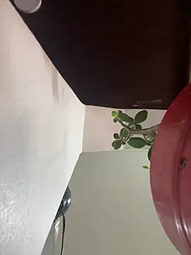 XBODTRIIPX online show from March 2026 04:11:01 PM