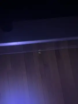 XBODTRIIPX online show from April 2026 11:17:02 PM