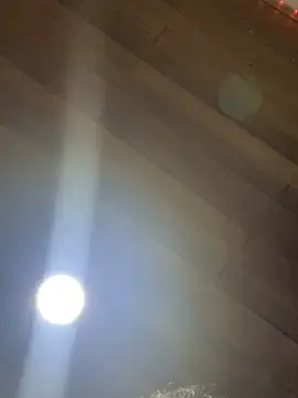 XBODTRIIPX online show from April 2026 12:06:02 AM