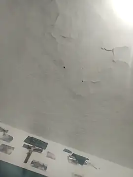 Ferxxxo1503 online show from December 2025 04:58:02 AM