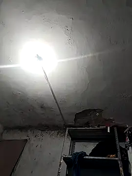 Ferxxxo1503 online show from November 2025 04:23:01 AM