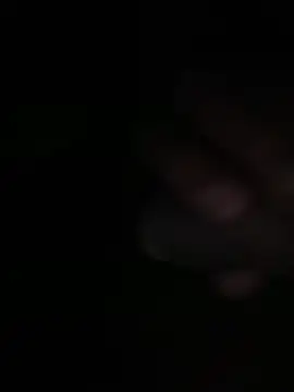 Flash356 online show from February 2026 09:04:01 PM