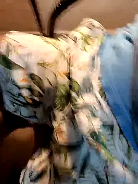 Snapshot of Gallo001 chatting on December 2025 11:03:01 AM Gallo001 online show from December 2025 11:03:01 AM