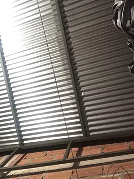 elpeluchenegroxxx3 online show from February 2026 03:17:02 AM