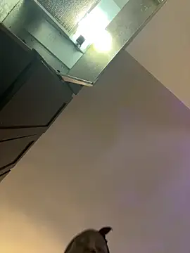 littyleesh1 online show from March 2026 01:12:02 PM