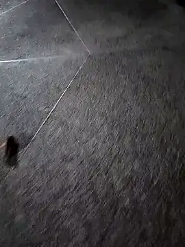 Snapshot of BrissPLUG8 chatting on December 2025 01:21:02 AM BrissPLUG8 online show from December 2025 01:21:02 AM