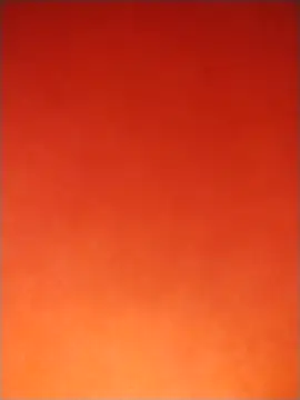 JOLSP online show from November 2025 11:49:01 PM