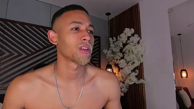 B Wild online show from November 2025 03:39:02 AM