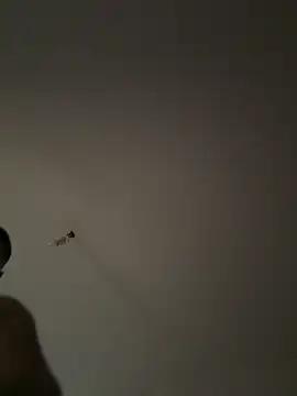 SEX TANRISII online show from September 2025 01:33:02 PM