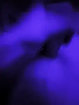littlecockginger online show from March 2026 11:27:02 AM