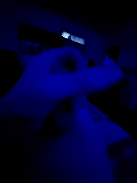 littlecockginger online show from February 2026 04:46:02 PM