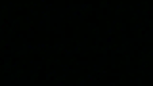 Pyrelissa online show from December 2025 06:34:02 AM