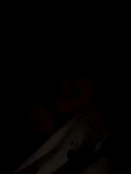 Dakota Evanns online show from November 2025 06:24:02 AM