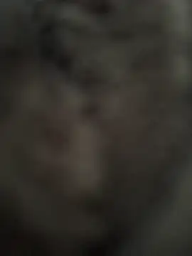Immerhartundgeil online show from May 2026 06:17:01 AM
