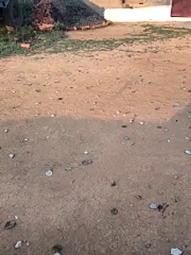 Snapshot of Ag_punam chatting on February 2026 02:10:02 AM Ag punam online show from February 2026 02:10:02 AM