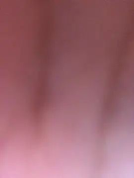 luzmelzinha online show from April 2026 01:57:01 AM