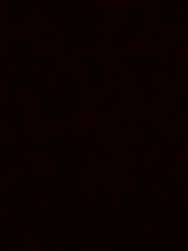 luzmelzinha online show from November 2025 05:39:01 AM