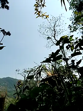 kemtuoi-sex online show from April 2026 03:19:01 AM