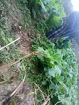 kemtuoi-sex online show from January 2026 10:30:02 AM