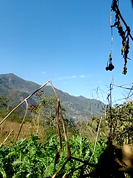 kemtuoi-sex online show from February 2026 08:10:02 AM