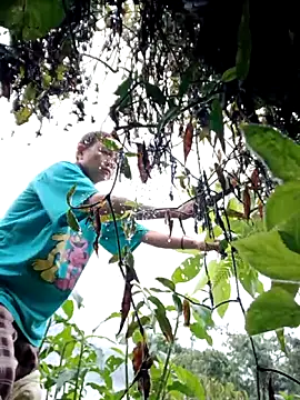 kemtuoi-sex online show from February 2026 11:50:02 PM