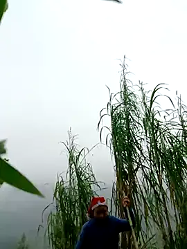 kemtuoi-sex online show from April 2026 02:57:01 AM