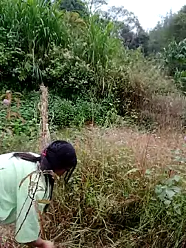 kemtuoi-sex online show from November 2025 08:29:01 AM