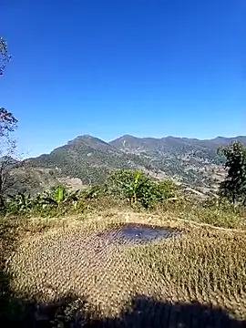 kemtuoi-sex online show from November 2025 03:40:02 AM