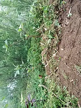 kemtuoi-sex online show from April 2026 09:43:02 AM