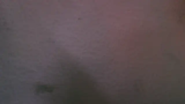 abbyrouss  online show from October 2025 03:04:01 AM