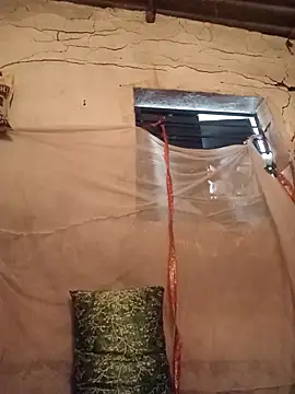 Notyriya7 online show from March 2026 02:30:02 AM