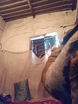 Notyriya7 online show from April 2026 04:49:01 AM