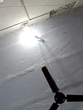 Famit025 online show from March 2026 04:29:01 PM