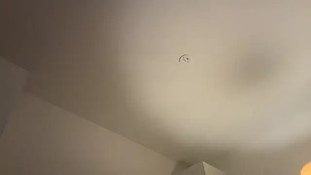 Swedishfish69 online show from February 2026 04:37:01 PM