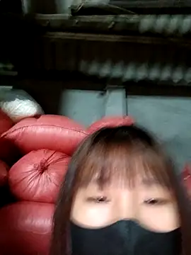 kata-00 online show from October 2025 12:17:01 PM