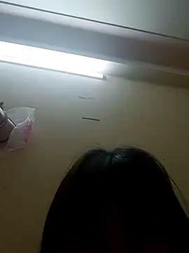 kata-00 online show from February 2026 04:04:02 AM