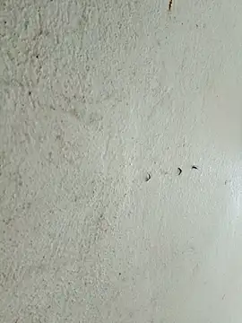 kata-00 online show from March 2026 05:35:02 AM