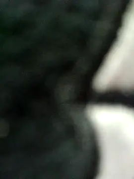 kata-00 online show from April 2026 06:09:02 AM