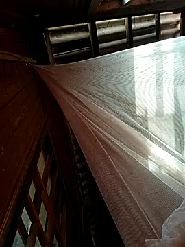 kata-00 online show from January 2026 05:44:01 AM